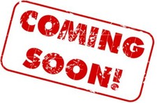 STOCK LIBRI ARTE MOSTRE ANTIQUARIATO BANCALE LIBRO PITTURA MOSTRA AA.VV. / 000