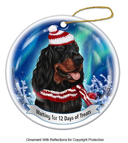 Gordon setter aurora boreale - setter,