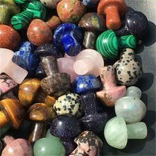 Ingrosso 50pz 15MM+ Fungo