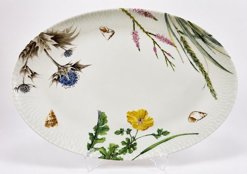Spode shoreline piatto - piatto, da
