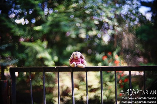 Carl zeiss biotar - carl, 50/1.4