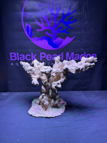 Bpm nano ceramica reef rock - nano,