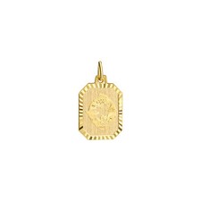 Ciondolo segno zodiacale pesci rettangolare oro 333 giallo opaco/diamantato 1...