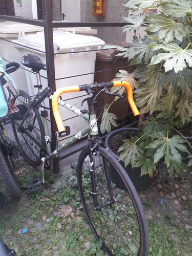 Bici fixed - bici,