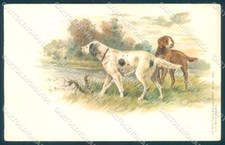 Animali Cane Caccia Setter serie 18274 ABRADATO CARTOLINA CARTOLINA TW1117