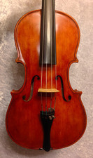 Bella viola antica Enrico