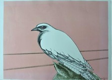 ALDO TURCHIARO (Celico, 1929) Opera Grafica Litografia su carta 70 x 50 cm Rara