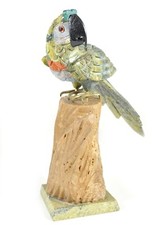 Pappagallo in Agata Grande