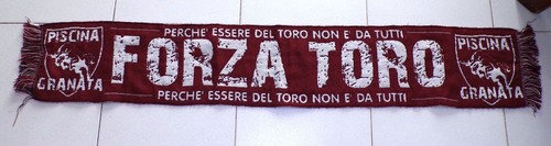 Sciarpa forza toro - toro, piscina