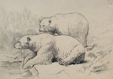 Fritz Berger disegno orsi