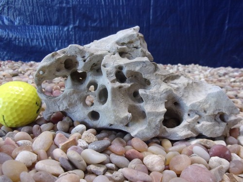 Texas holey rock - texas/tn,