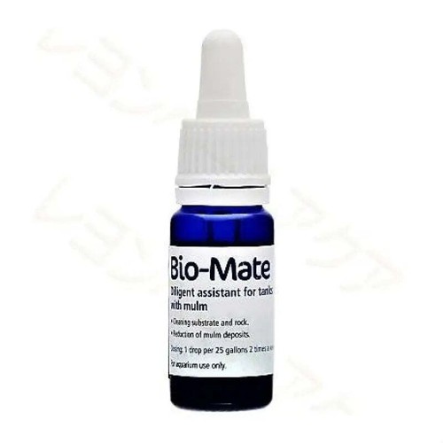 Korallen zucht bio mate - bio-mate,
