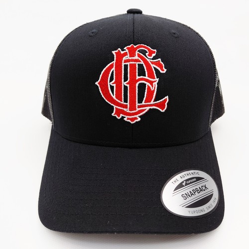 Chicago fire dept cappello - chicago,