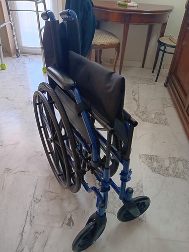 Sedia rotelle termigea nb - sedia,