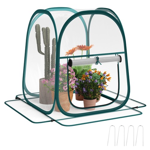 Mini serra pop 70x70x80 cm - mini, up