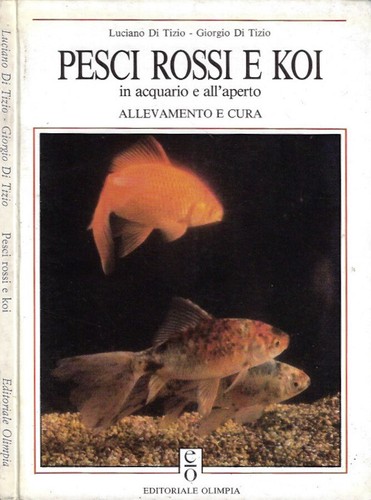 Pesci rossi koi - pesci, in