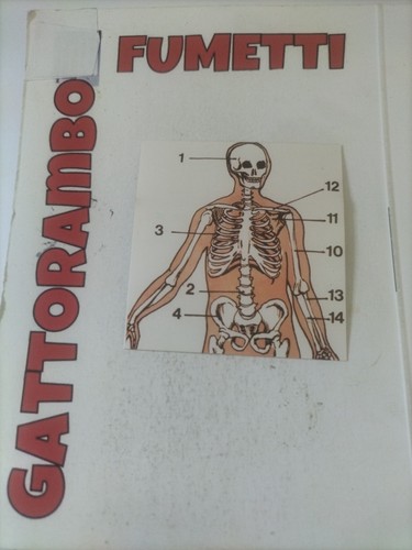 Figurine didattiche conoscere - figurine,