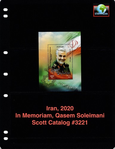 Scott value 2020 - scott, medio