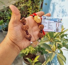 Rudraksha Rudraksh 1 2 3 4 5 6