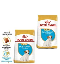 ROYAL CANIN Jack Russell