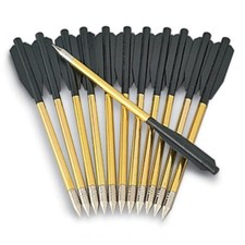 12PCS Tiro con l'arco mini