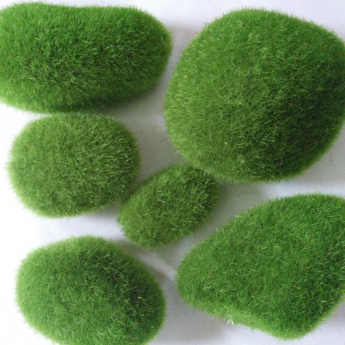 5pz palline muschio marimo - 5pz,