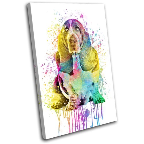 Colourful bassett hound dog - colourful,
