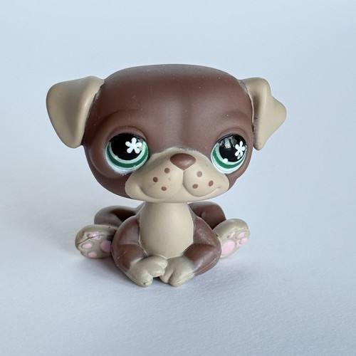 Littlest pet shop - shop, carlino