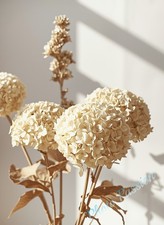 Poster Beige Naturale Art
