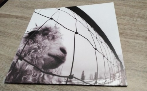 Vinile inner gatefold - vinile,
