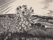 JOSEF WEISZ - Girasoli - Xilografia - 1930 ca.