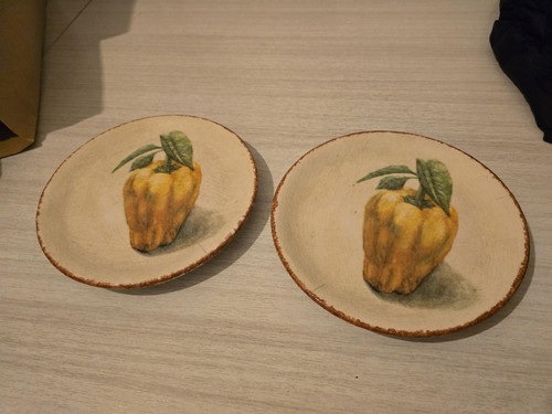 Piatti williams sonoma - 2,