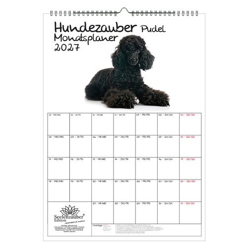Planner magia barboncino din - magia,