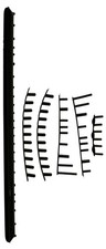 Set paraurti head graphene - set,
