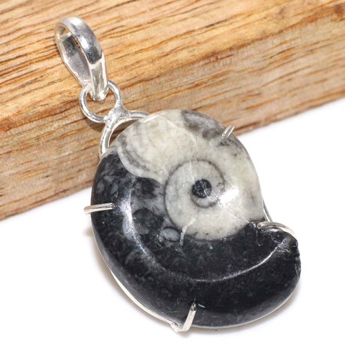 Raro ciondolo fossile ammonite