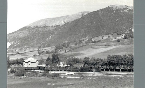 Aquila sella corno - sella,