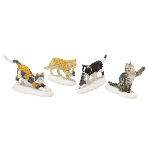 Puntoni per gatti randagi - , set