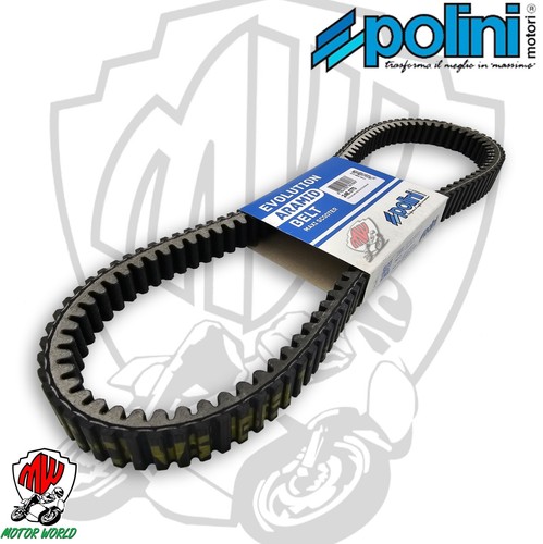 248 070 cinghia - 248.070, polini