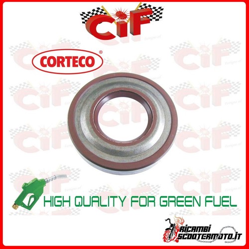 Clutch side oil - side, fender