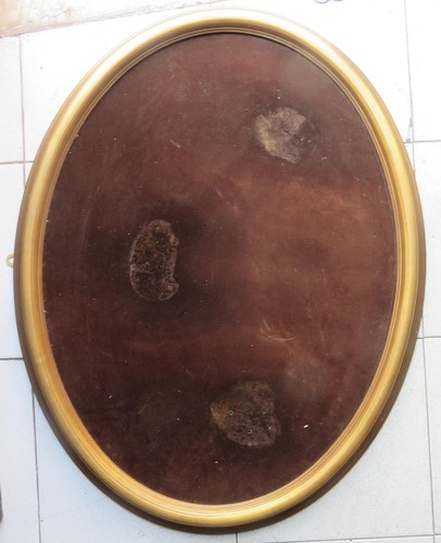 N16 cornice ovale dorata - cornice,