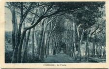 CB10 - Viareggio (LU) - La