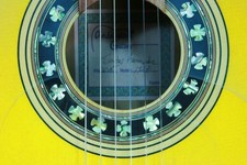 ANDALUSIAN GUITAR SANTOS