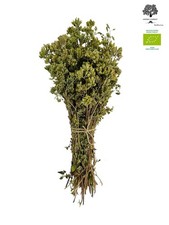 Certificato Biologico Origano