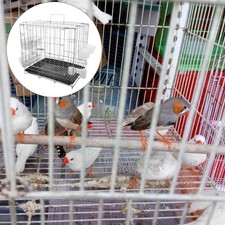 Box allevamento piccioni