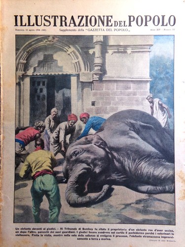 Illustrazione del popolo - illustrazione,