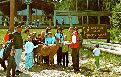 Seattle washington kids - wa,