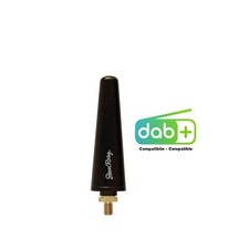 ASR/19N Simoni Racing Antenna
