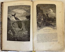 JULES VERNE VINGT MILLE LIEUES