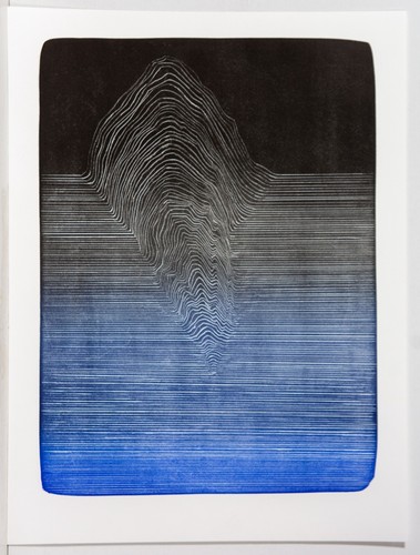 Birgit brandis litografia - birgit, brandis: