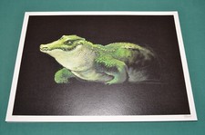 Massimiliano Frezzato PETER